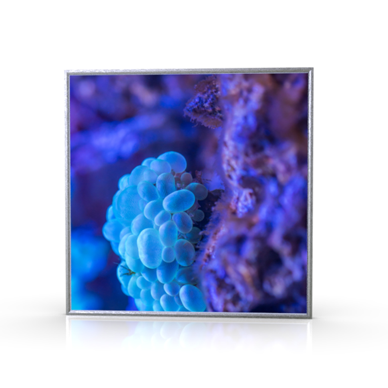 51.7寸方形超薄型材款